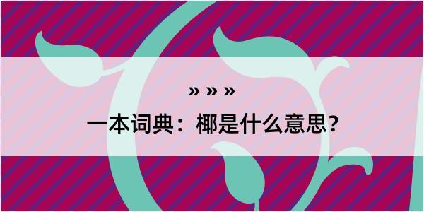 一本词典：椰是什么意思？