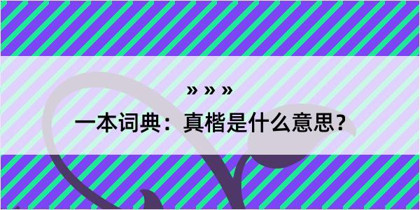 一本词典：真楷是什么意思？