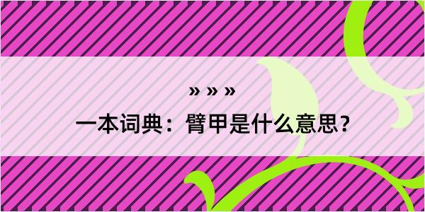 一本词典：臂甲是什么意思？