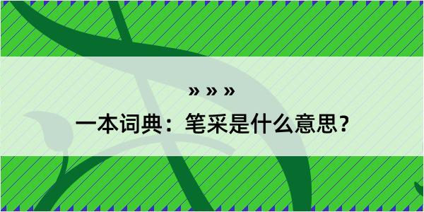 一本词典：笔采是什么意思？