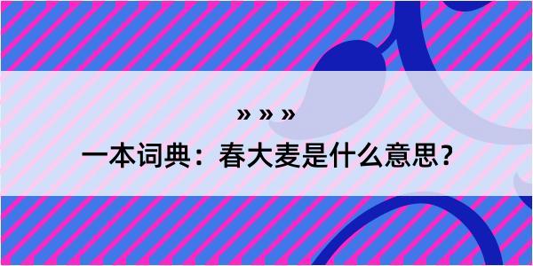 一本词典：春大麦是什么意思？