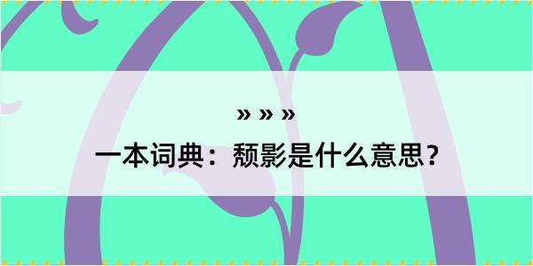 一本词典：颓影是什么意思？