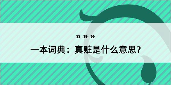 一本词典：真赃是什么意思？