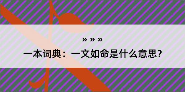 一本词典：一文如命是什么意思？