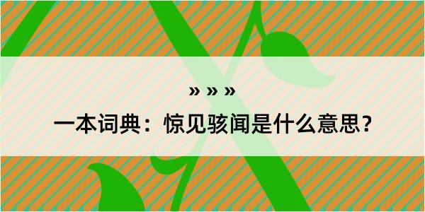 一本词典：惊见骇闻是什么意思？