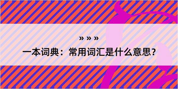 一本词典：常用词汇是什么意思？