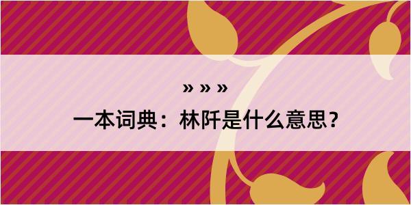 一本词典：林阡是什么意思？