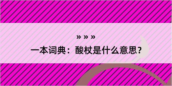 一本词典：酸杖是什么意思？