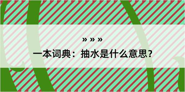 一本词典：抽水是什么意思？