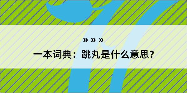 一本词典：跳丸是什么意思？