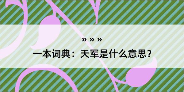 一本词典：天军是什么意思？