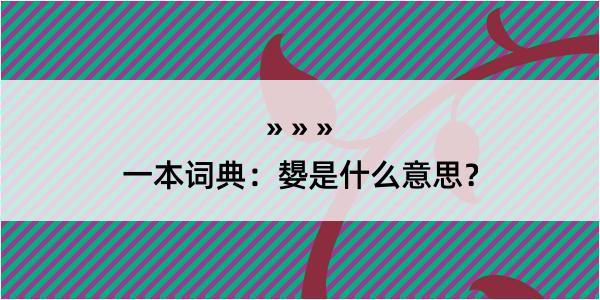 一本词典：嫢是什么意思？