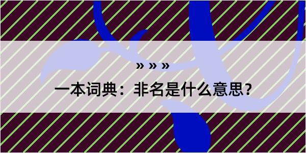 一本词典：非名是什么意思？