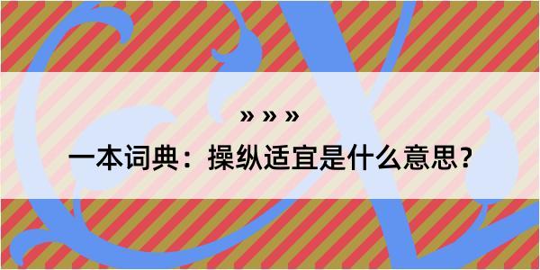 一本词典：操纵适宜是什么意思？