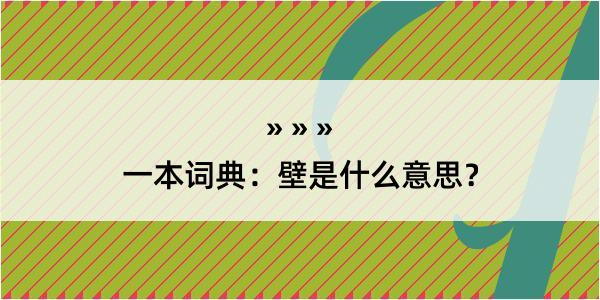 一本词典：壁是什么意思？