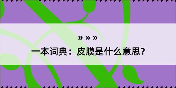 一本词典：皮膜是什么意思？