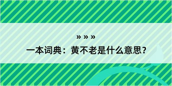 一本词典：黄不老是什么意思？