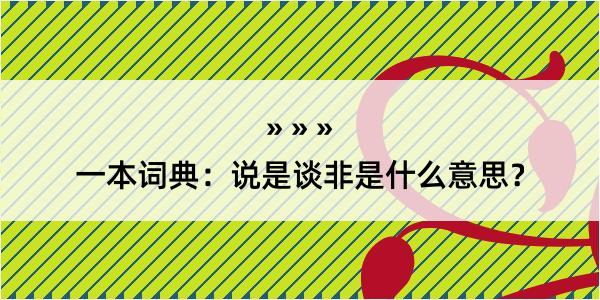 一本词典：说是谈非是什么意思？