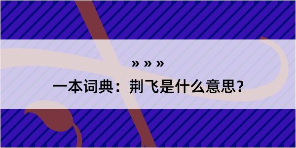 一本词典：荆飞是什么意思？