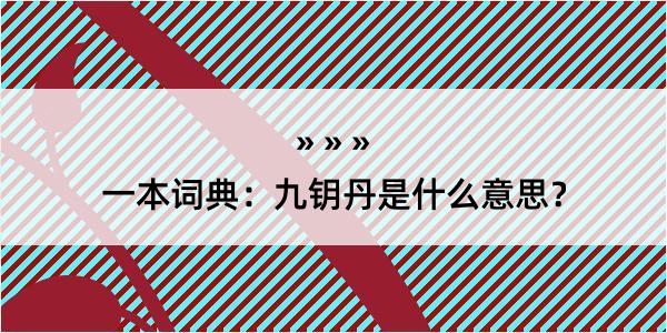 一本词典：九钥丹是什么意思？