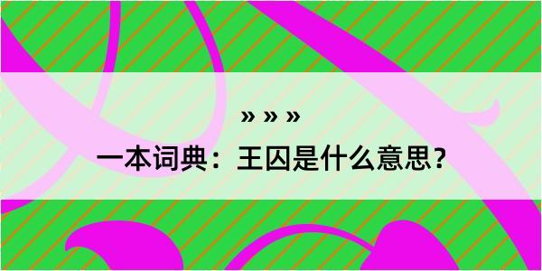 一本词典：王囚是什么意思？