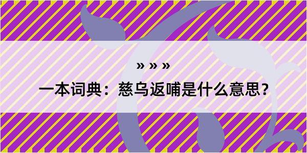 一本词典：慈乌返哺是什么意思？