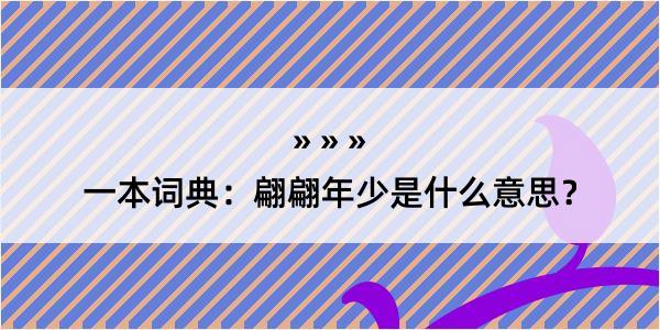 一本词典：翩翩年少是什么意思？