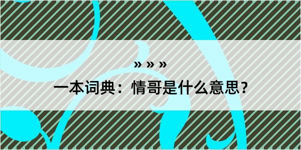 一本词典：情哥是什么意思？