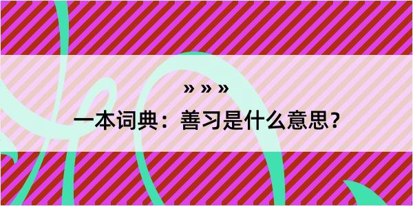 一本词典：善习是什么意思？