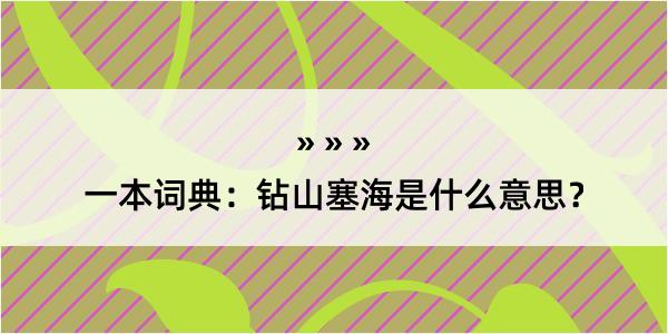 一本词典：钻山塞海是什么意思？