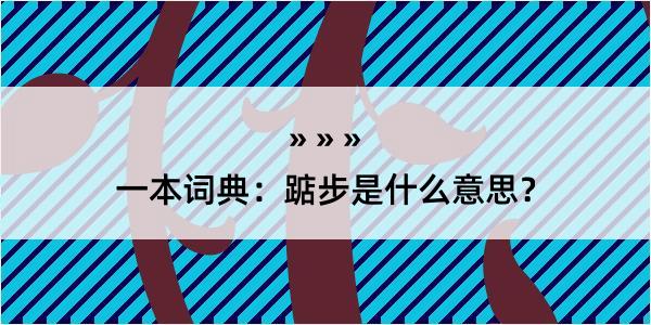 一本词典：踮步是什么意思？