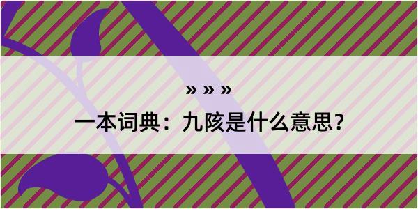 一本词典：九陔是什么意思？