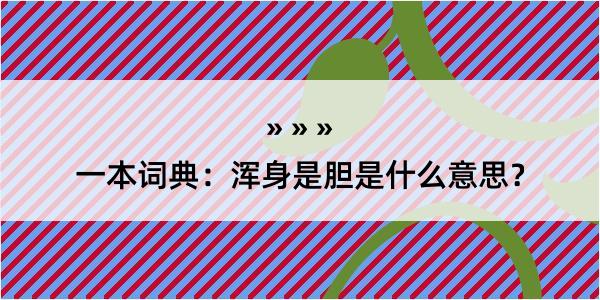 一本词典：浑身是胆是什么意思？