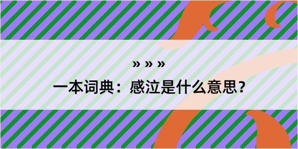 一本词典：感泣是什么意思？