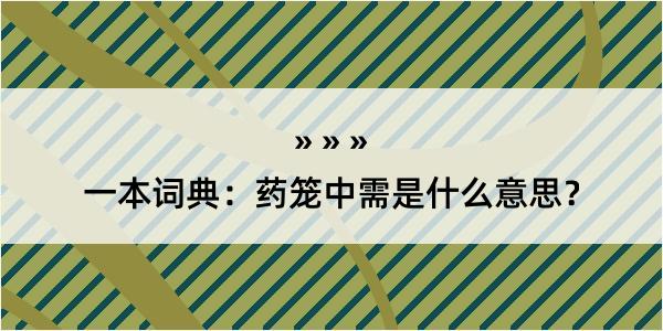 一本词典：药笼中需是什么意思？