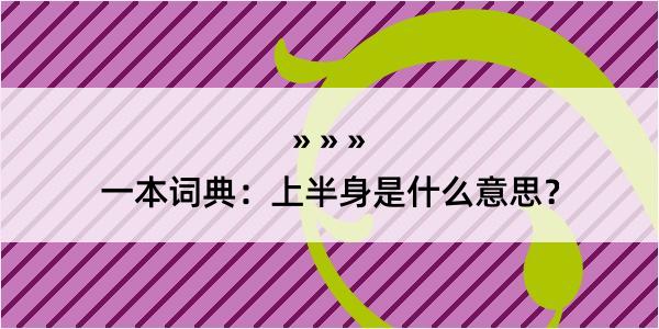 一本词典：上半身是什么意思？