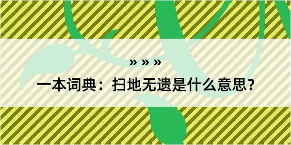 一本词典：扫地无遗是什么意思？