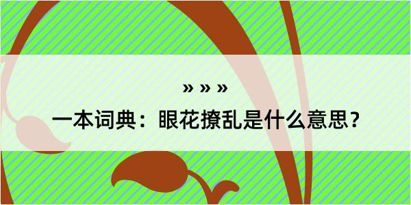 一本词典：眼花撩乱是什么意思？