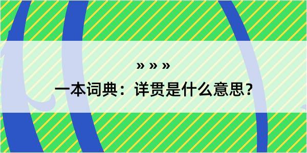 一本词典：详贯是什么意思？