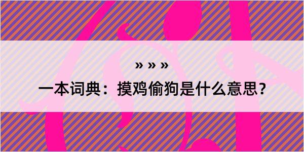 一本词典：摸鸡偷狗是什么意思？