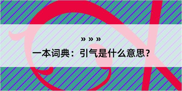 一本词典：引气是什么意思？