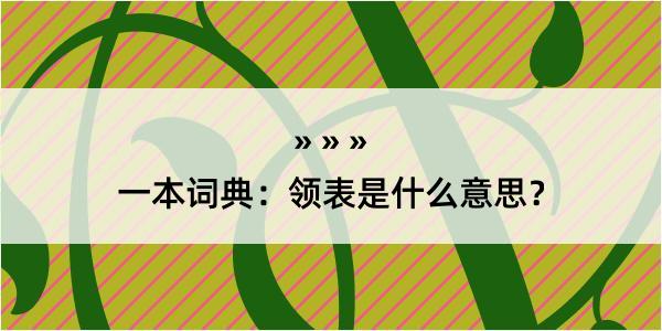 一本词典：领表是什么意思？