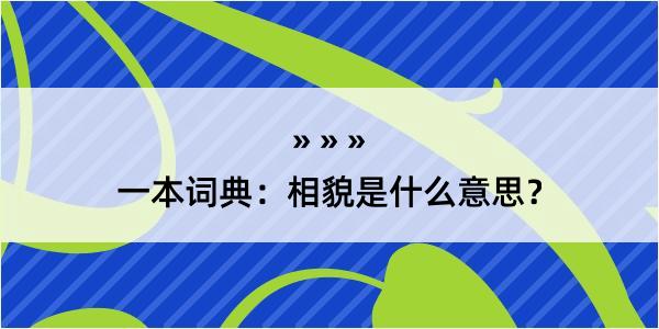 一本词典：相貌是什么意思？