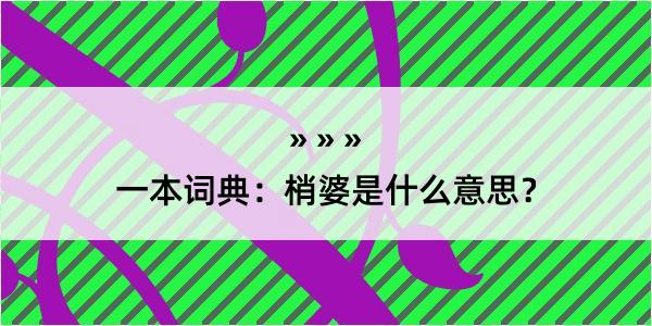 一本词典：梢婆是什么意思？