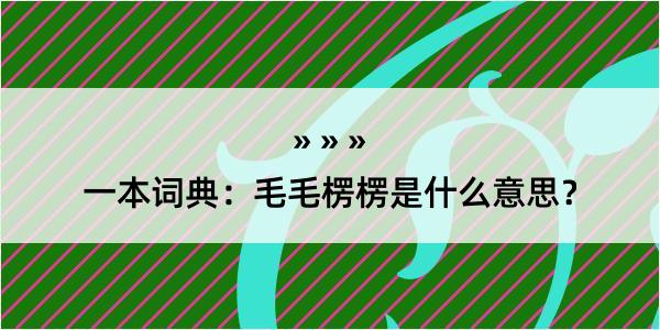 一本词典：毛毛楞楞是什么意思？