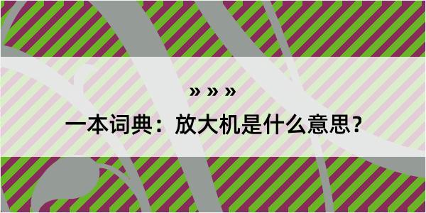 一本词典：放大机是什么意思？