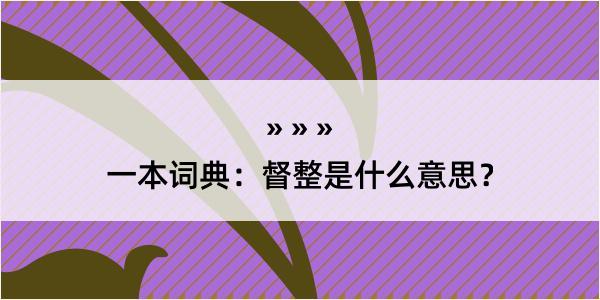 一本词典：督整是什么意思？