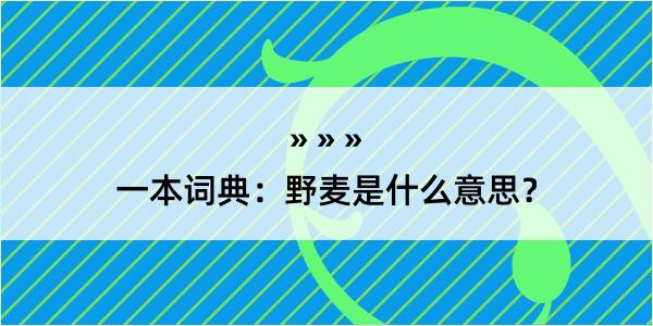 一本词典：野麦是什么意思？