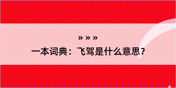 一本词典：飞驾是什么意思？