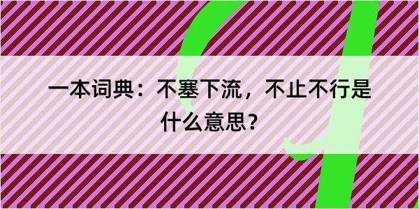 一本词典：不塞下流，不止不行是什么意思？